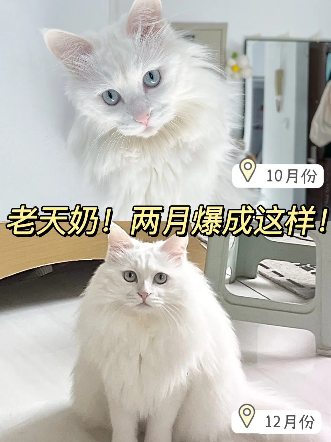 俩个月爆改成功｜单车变摩托👍