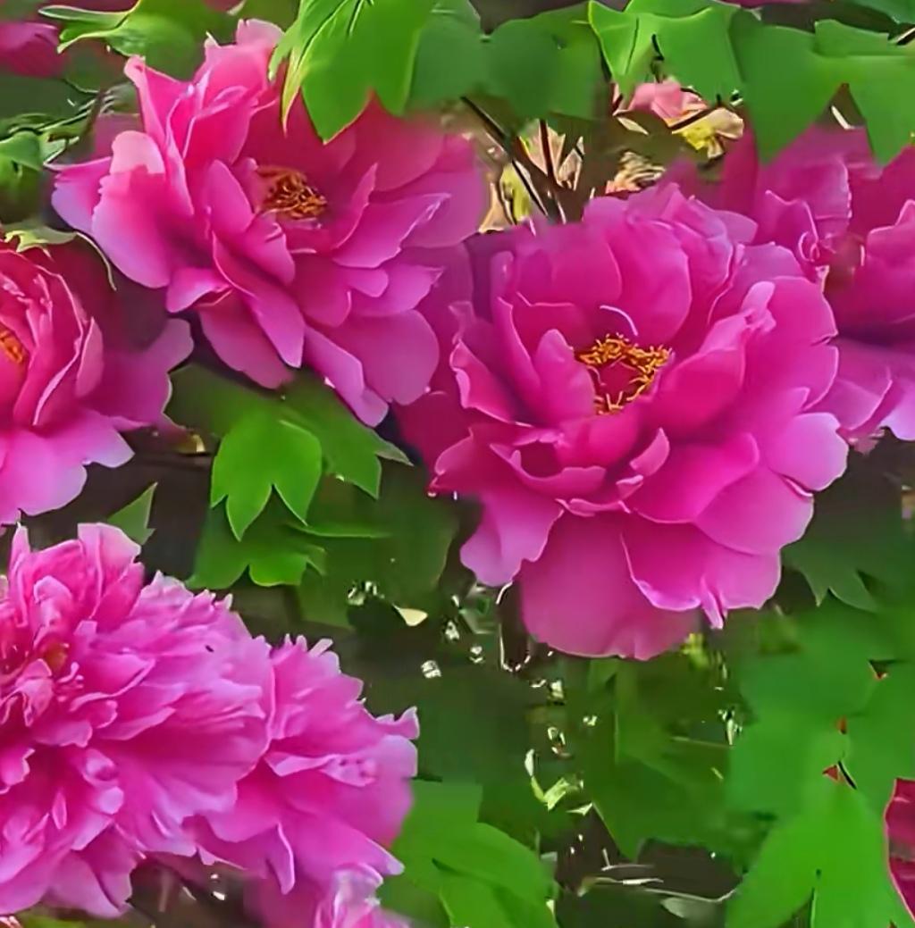 身体不用多好，能做四件事即可
1.自己能做吃的，不让肚子饿。
2.自己能到处走，