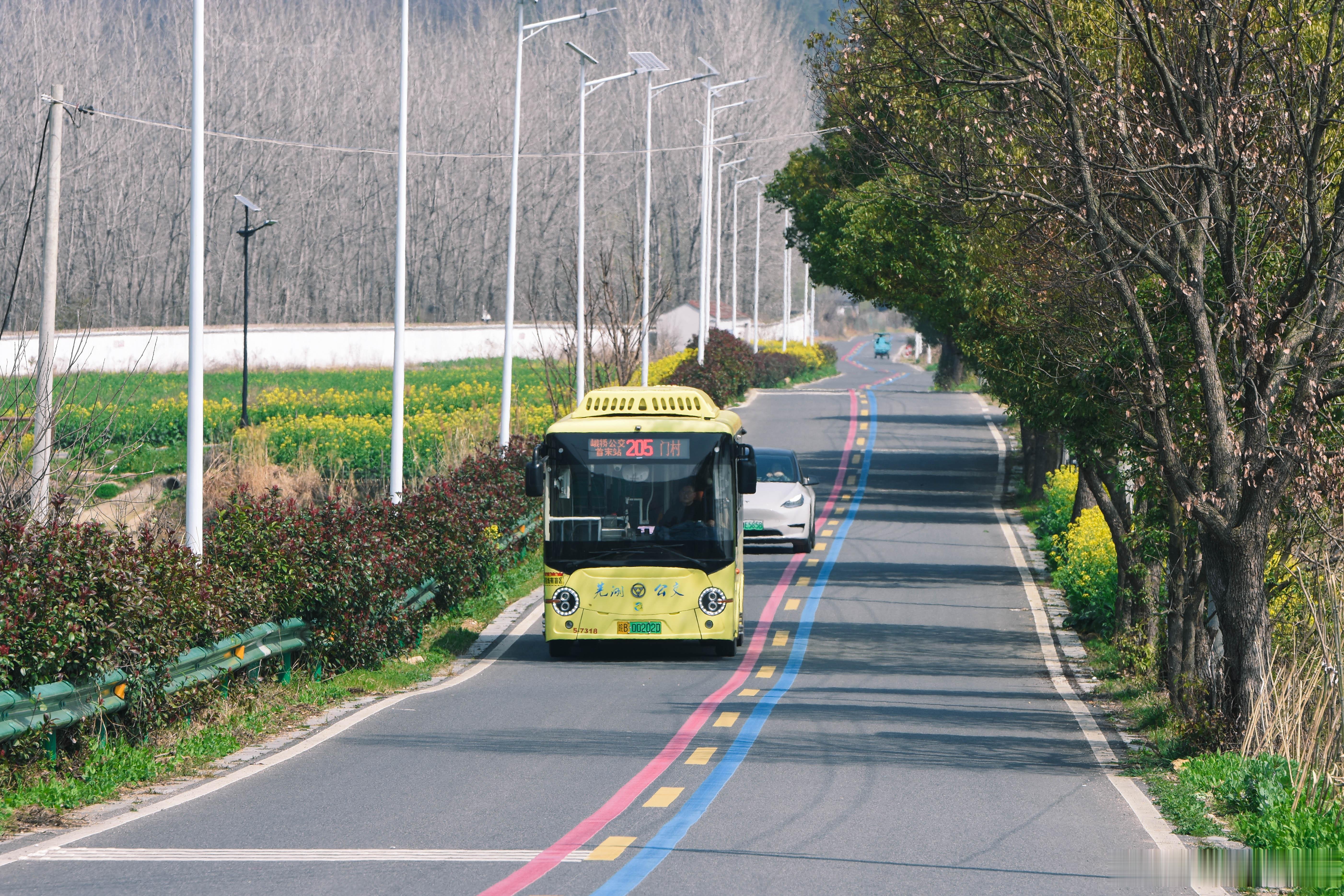 可爱的万达大眼萌 穿梭在皖南的村子中 