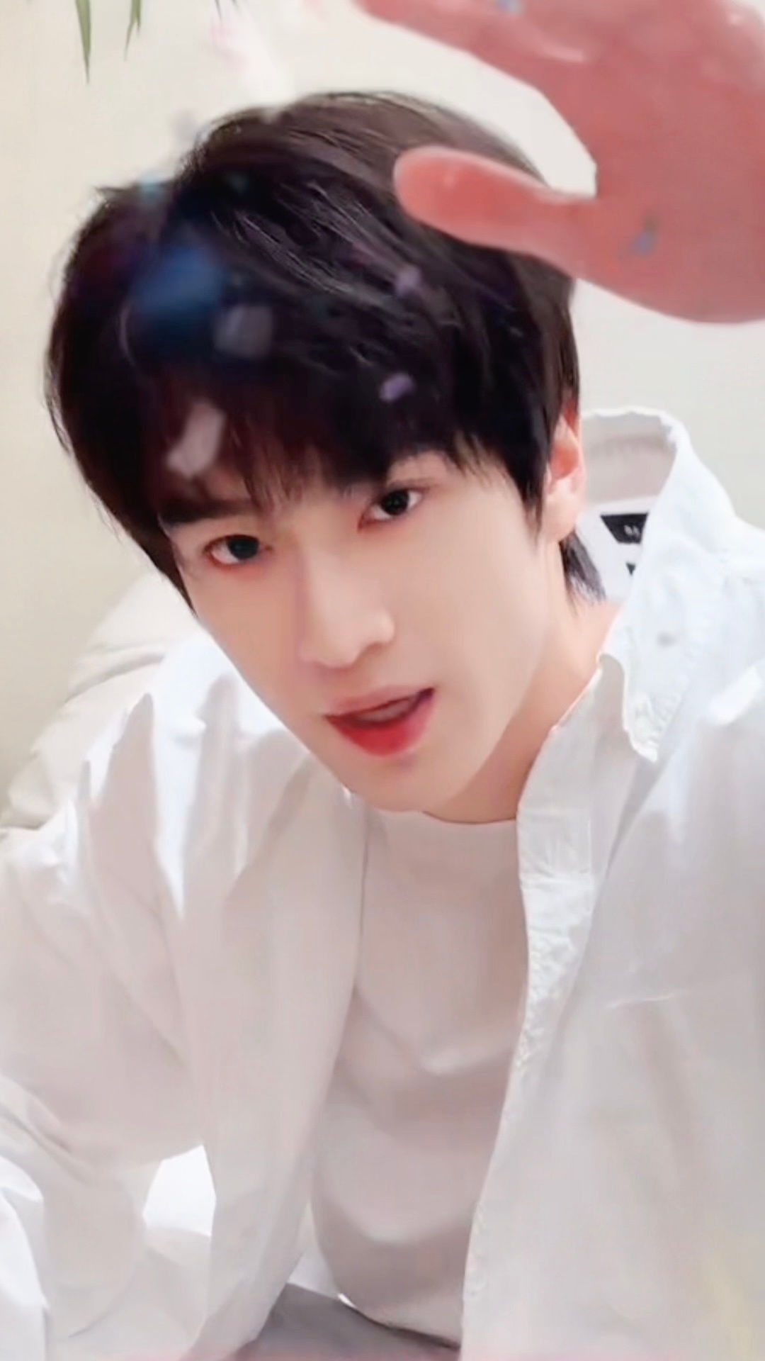 好帅啊欧巴这个摸头😵💫 