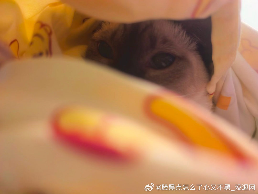 晚安逼罗