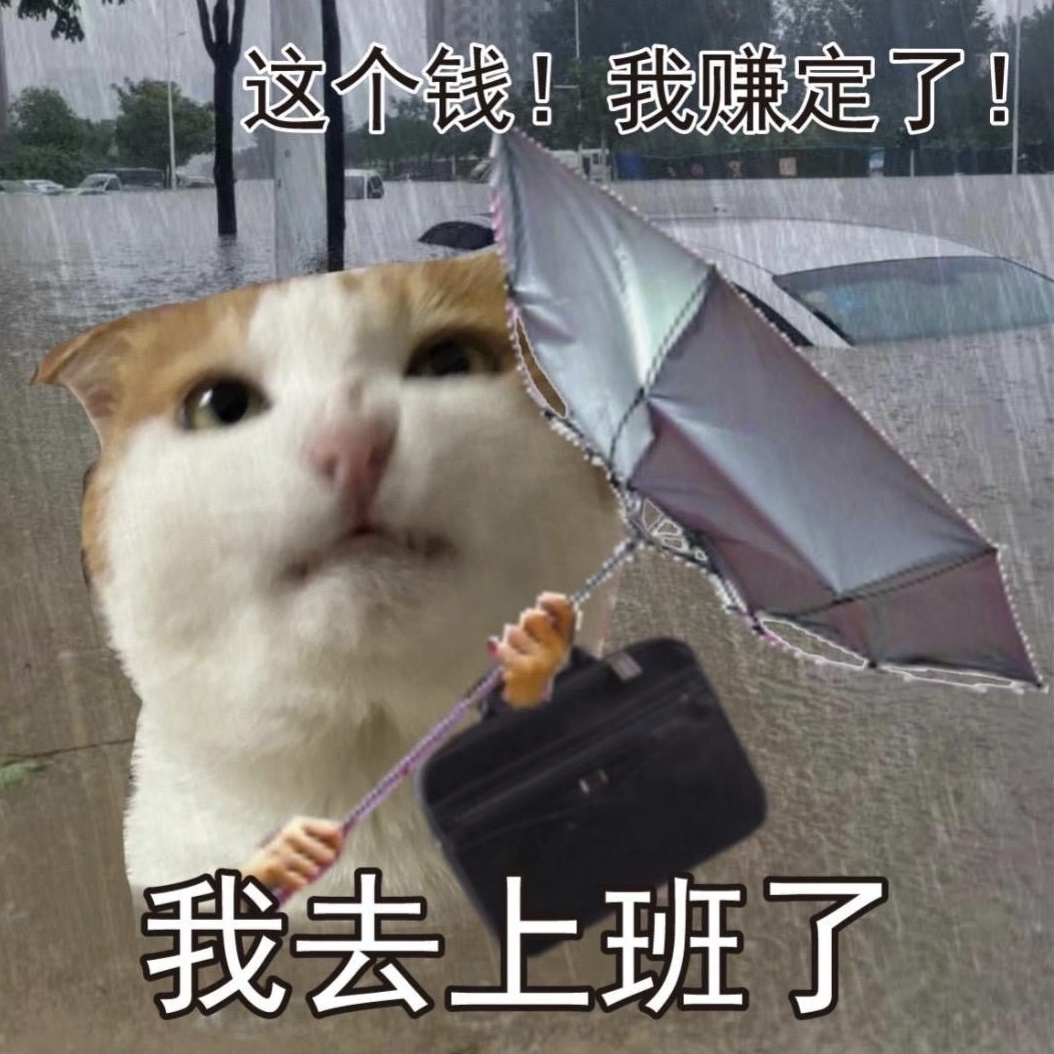 台风暴雨在路上了 又到了机场sorry全场 高铁站红色延误一片 衣服洗了干不了 