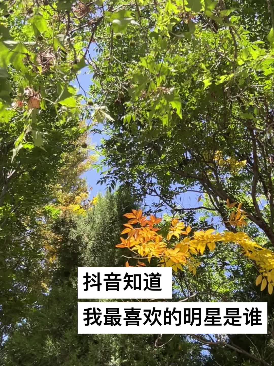 一样的互掐
