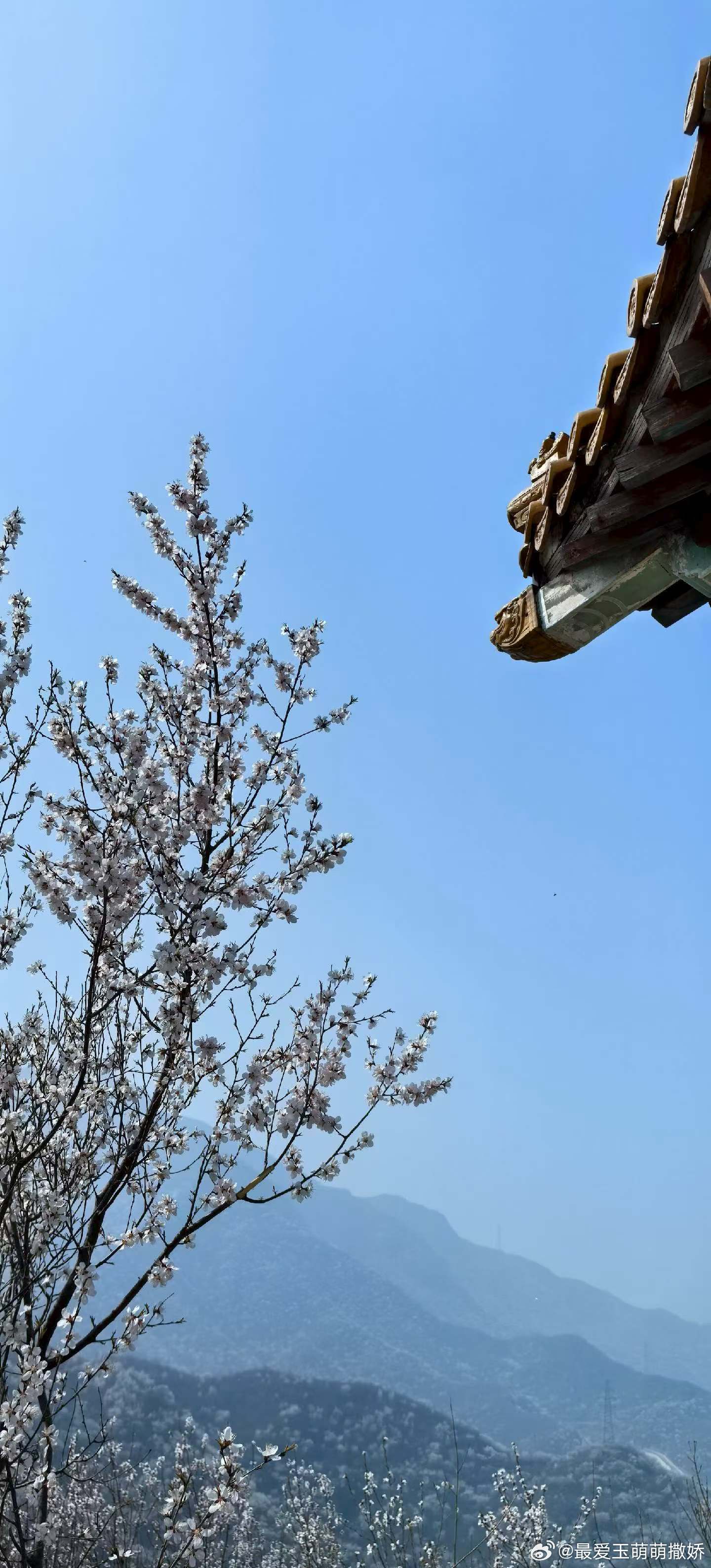 生活手记爱情的本质，从来不是一时兴起的冲动，也非轻易言说的情绪。它根植于灵魂深处
