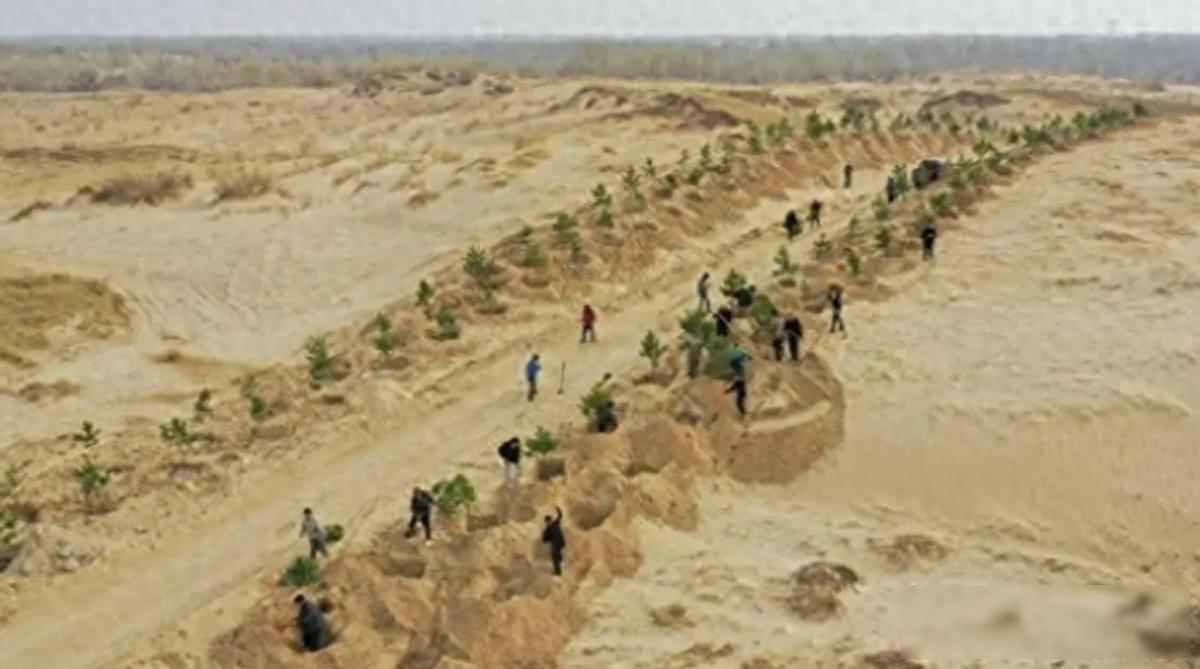 黄沙跨过边境线
治沙人种了三十年的树，可风一吹，隔壁草原的沙还是漫了过来，年年补