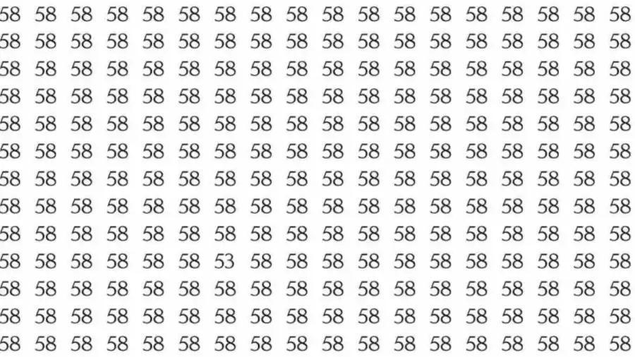 光学错觉大脑测试来啦！这是密密麻麻的 “58” 数字矩阵，暗藏 1 个 “53”
