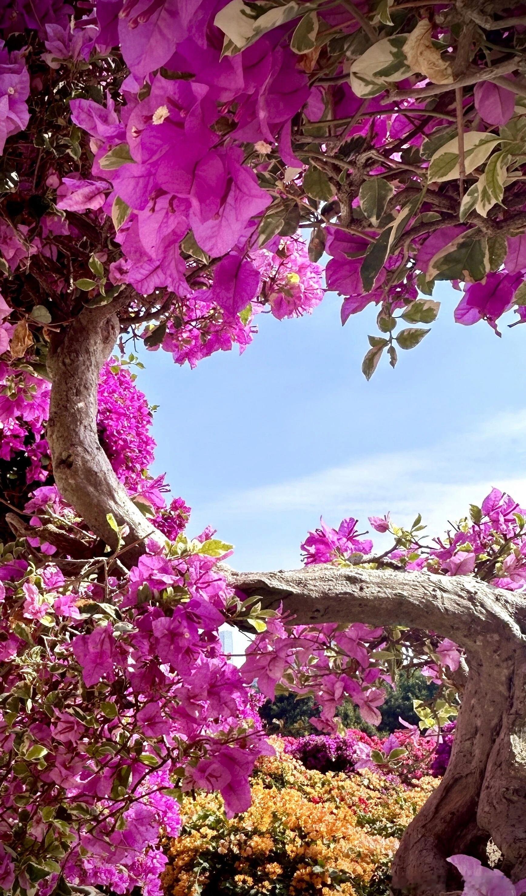 无国界企业的供应链发达和全球市场规模足够大新能源汽车、家用电器、电子产品、轻工制