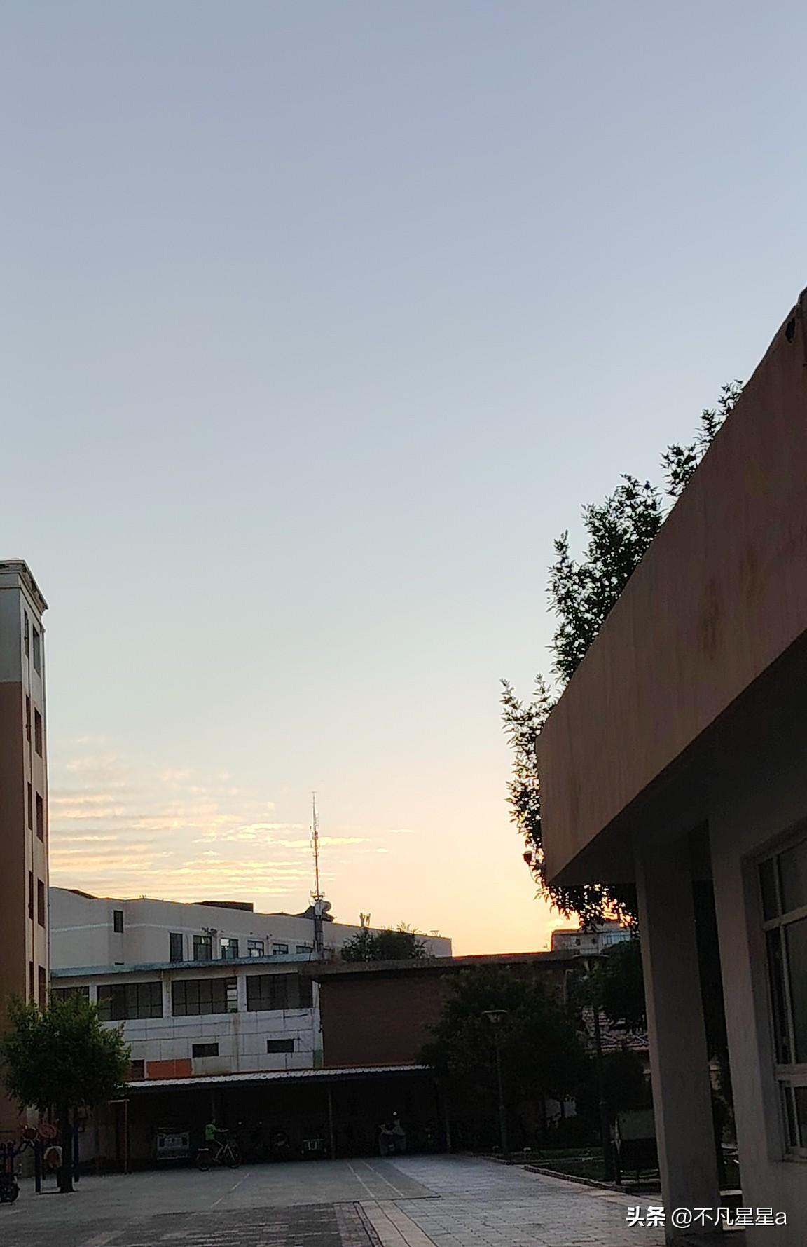 分享一张最近随手拍的照片暮色缓缓漫过楼宇，天边晕开温柔的橘黄霞光，晚风掠过枝叶，