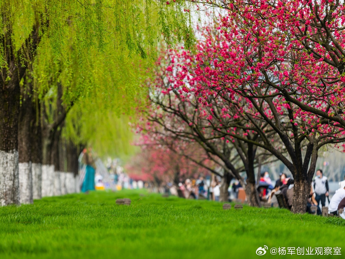 从“一人成军”到“万智并行”——企业AI化的本质跃迁企业用AI，最大的误区是只当