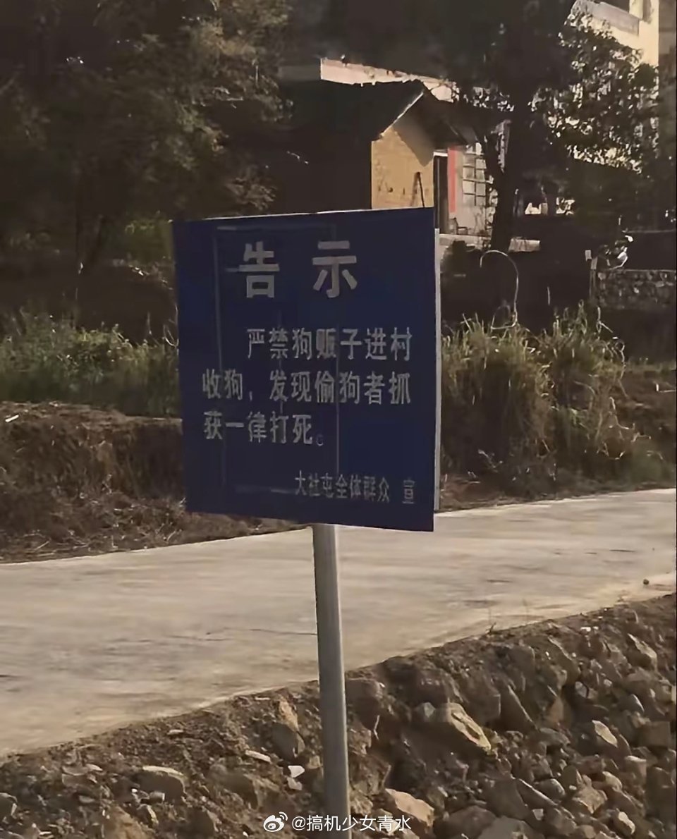 7只狗狗被偷后逃亡17公里找回家如果是一个村的，一起被偷的概率太低了。真的很难不