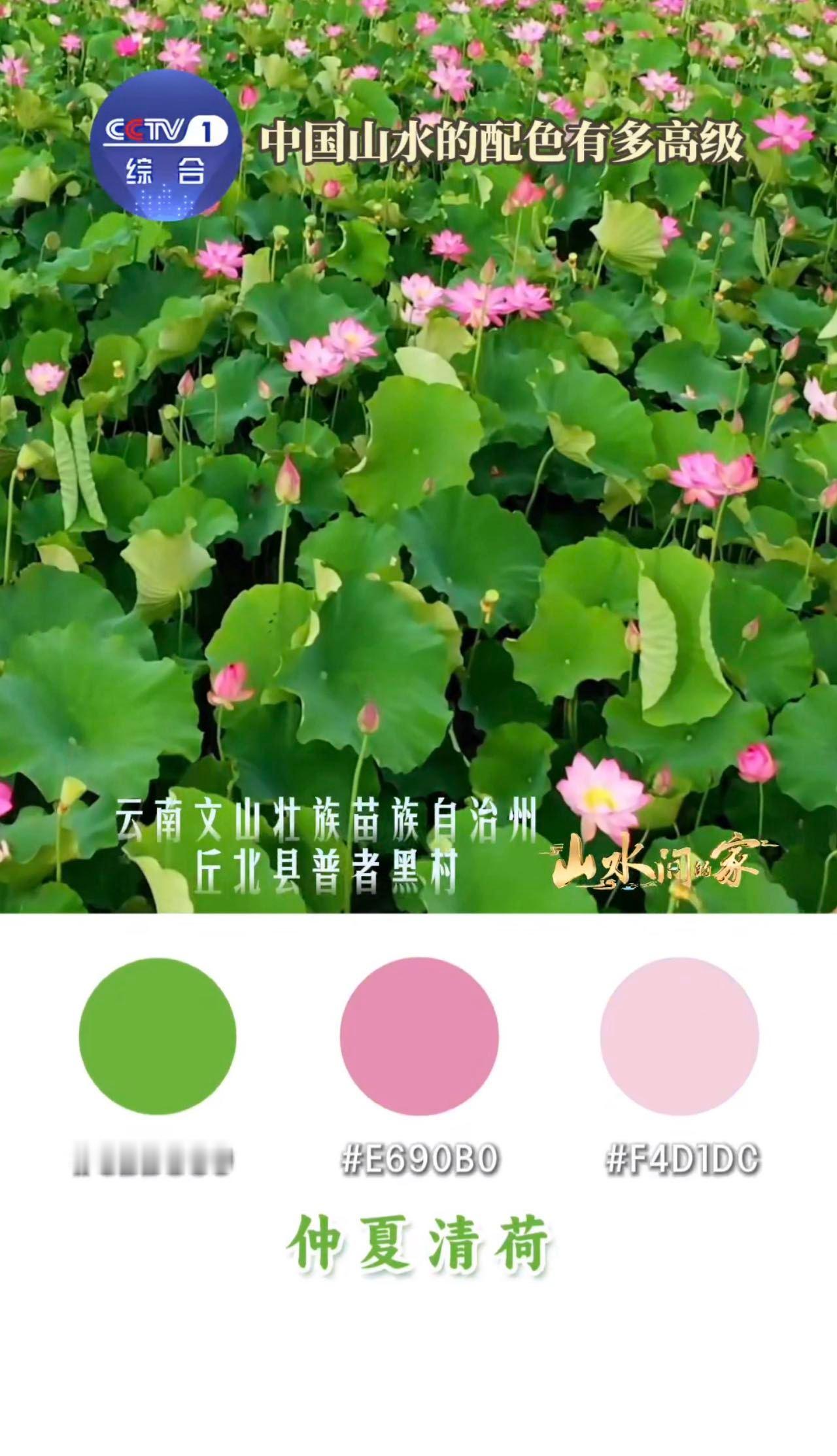 中国山水高级感配色中国乡村的美景配色太绝啦👏！远山如黛的静谧，沃野千里的热烈，