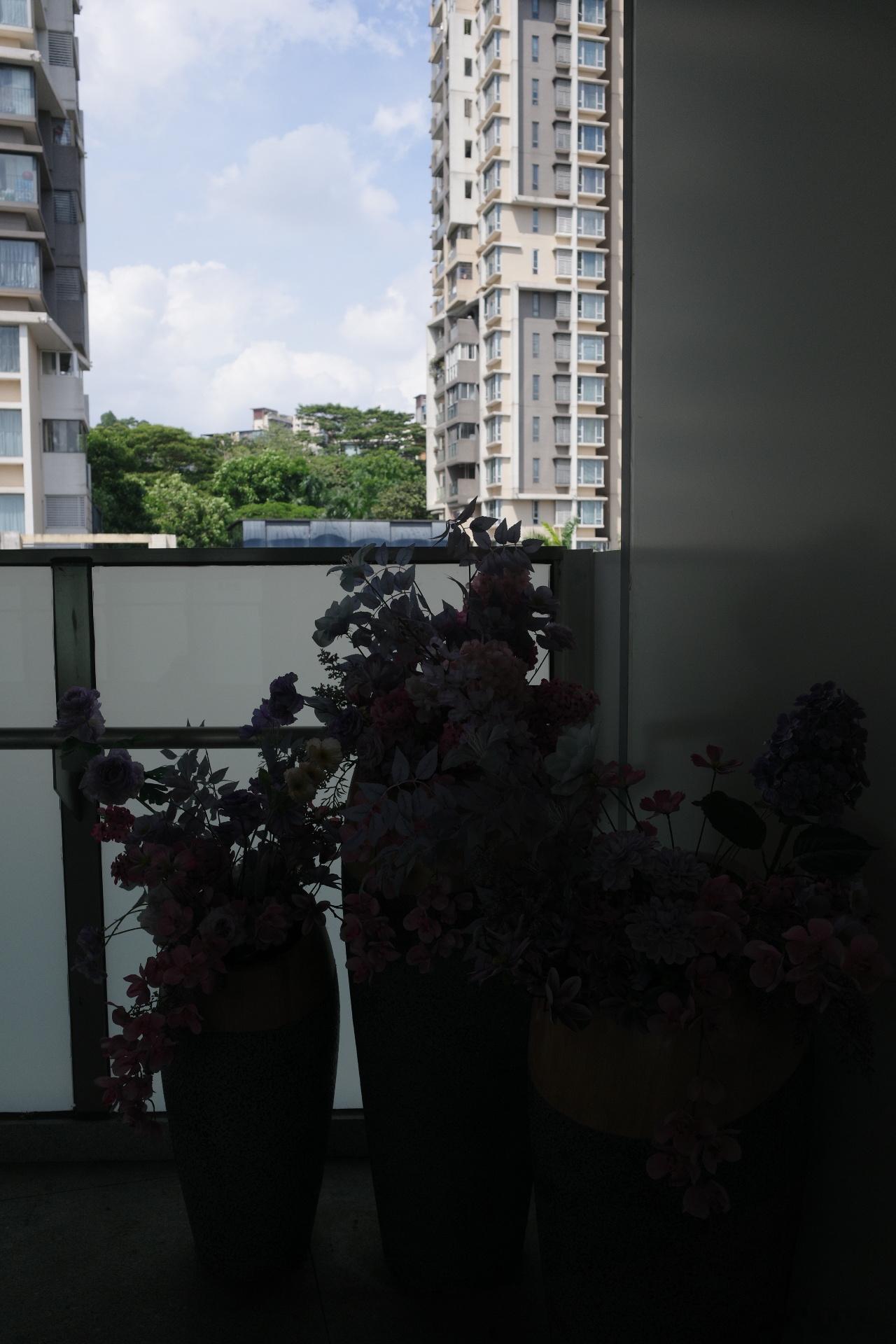 高温炙烤的每一日，广州浔峰岗，地铁内外日常分享生活手记理光GR4 广州·广东艺术