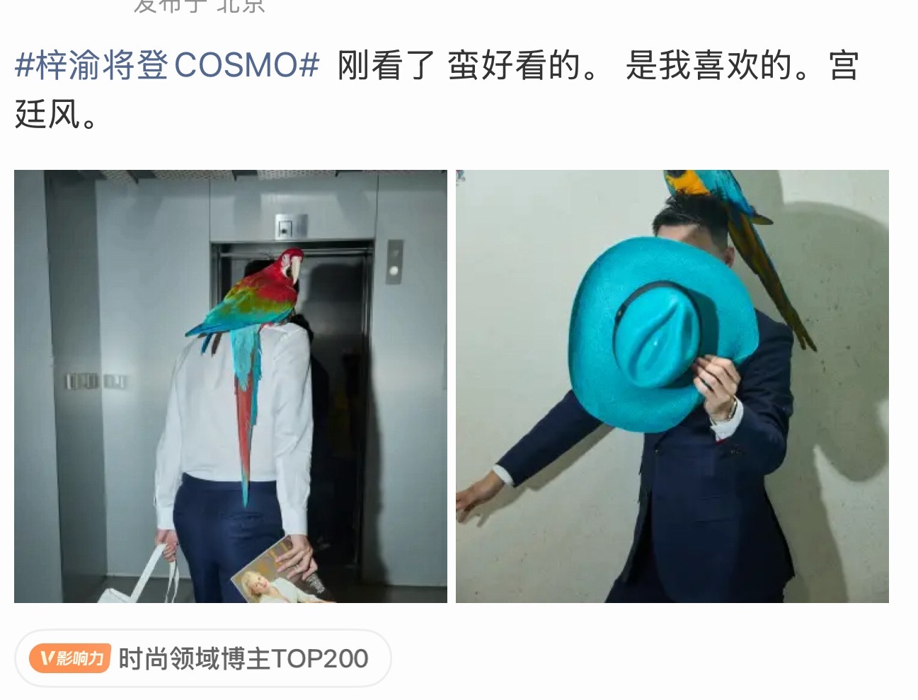 梓渝将登上COSMO梓渝将登COSMO，该时尚博主爆料梓渝将6月登新杂志，各位Y