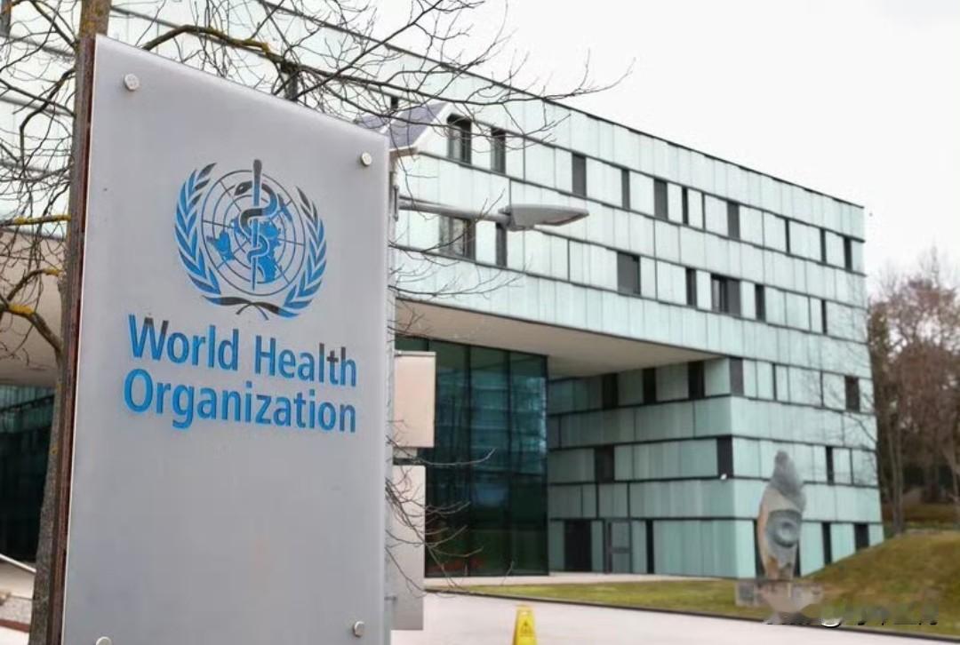 【美国准备退出世界卫生组织】

[烦不烦呐！过两年的美国又要恢复，进进出出门槛太