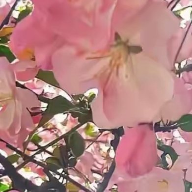 尔今，时光漫过生命的每一个节点，看着渐渐远去岁月，余生，便想守着这方小院度日。春