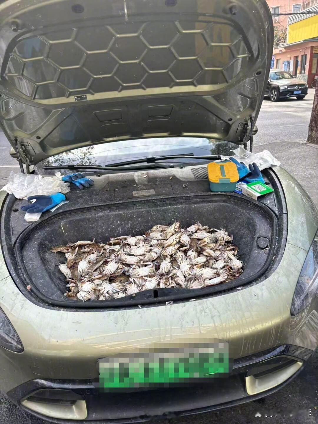 这个车以后还怎么开[呲牙]