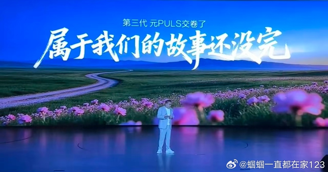 属于我们的故事还没完。属于执行方的事故来了。元PLUS→元PULS这锅得扣多少钱