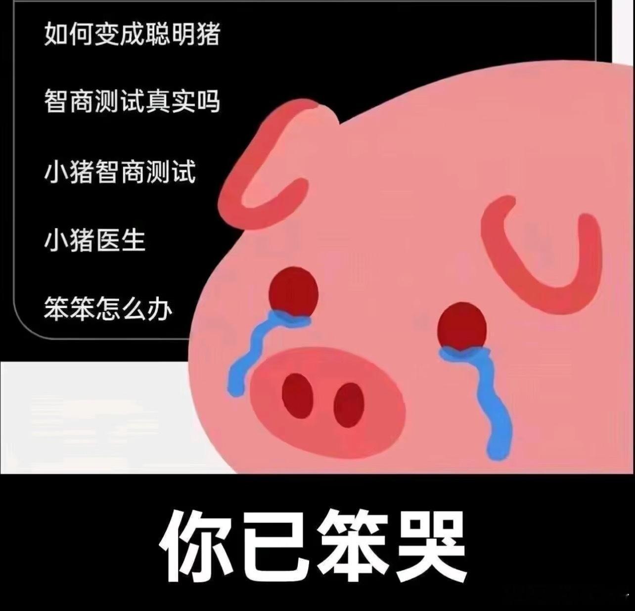 露露上网be like： 11433 