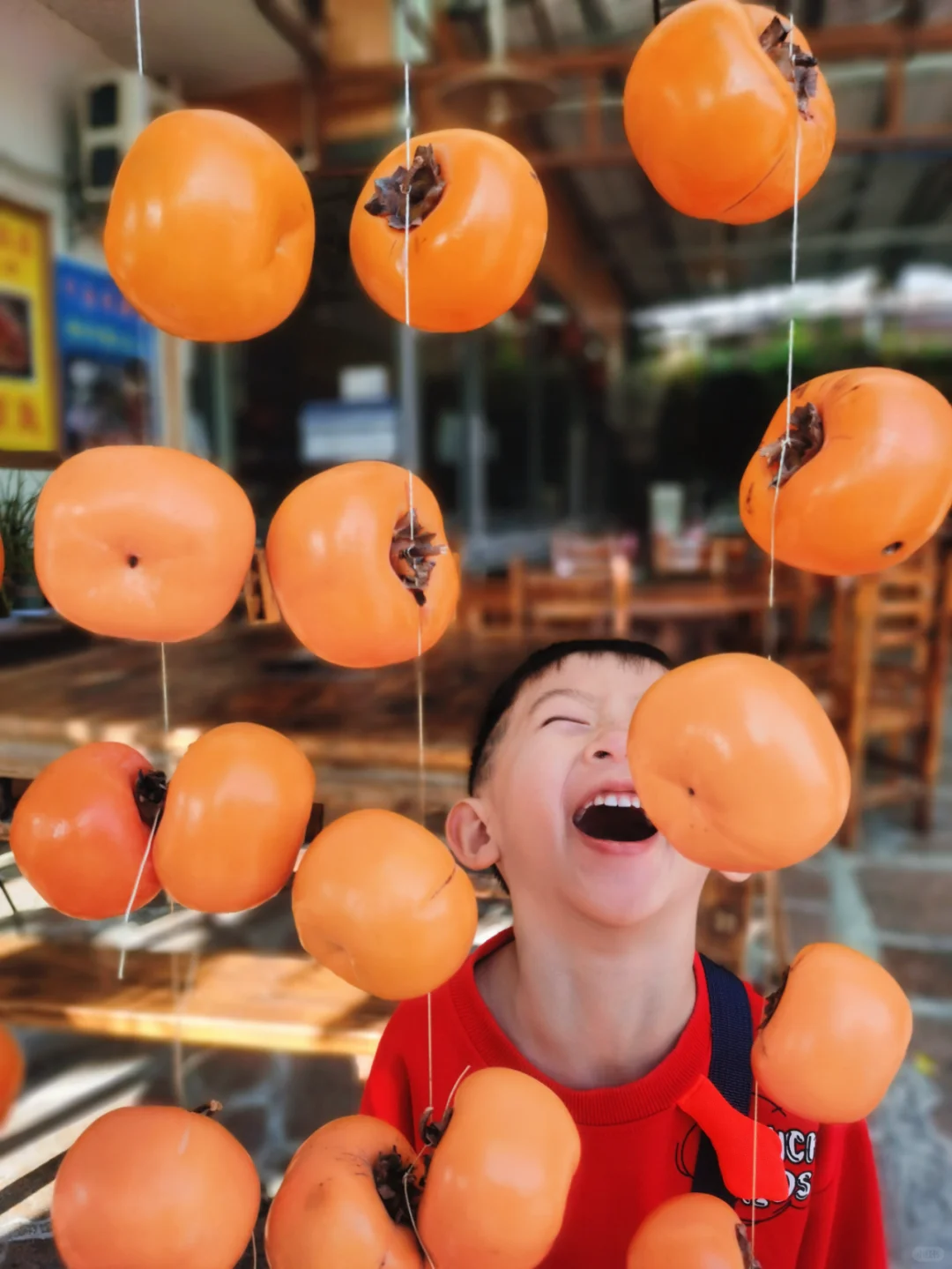 去过已回，桂林恭城月柿节一日游攻略！