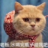 何亮侃军事