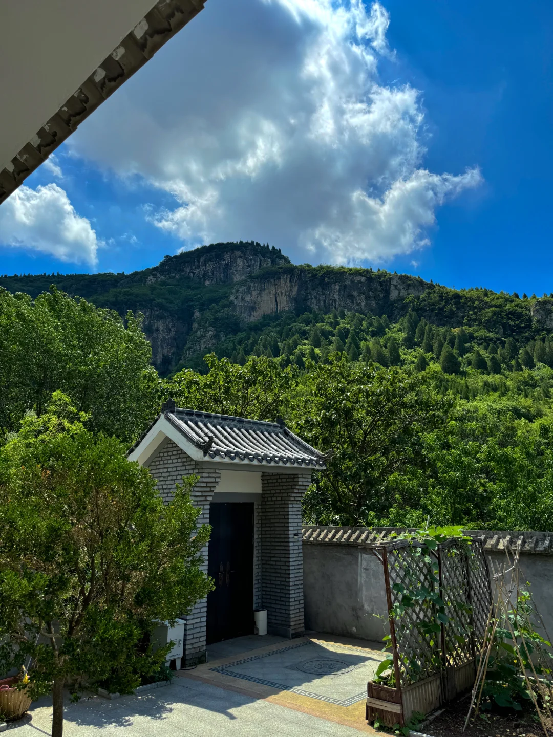 黄帝内经：中医世家女分享“古法养娃”智慧🌻