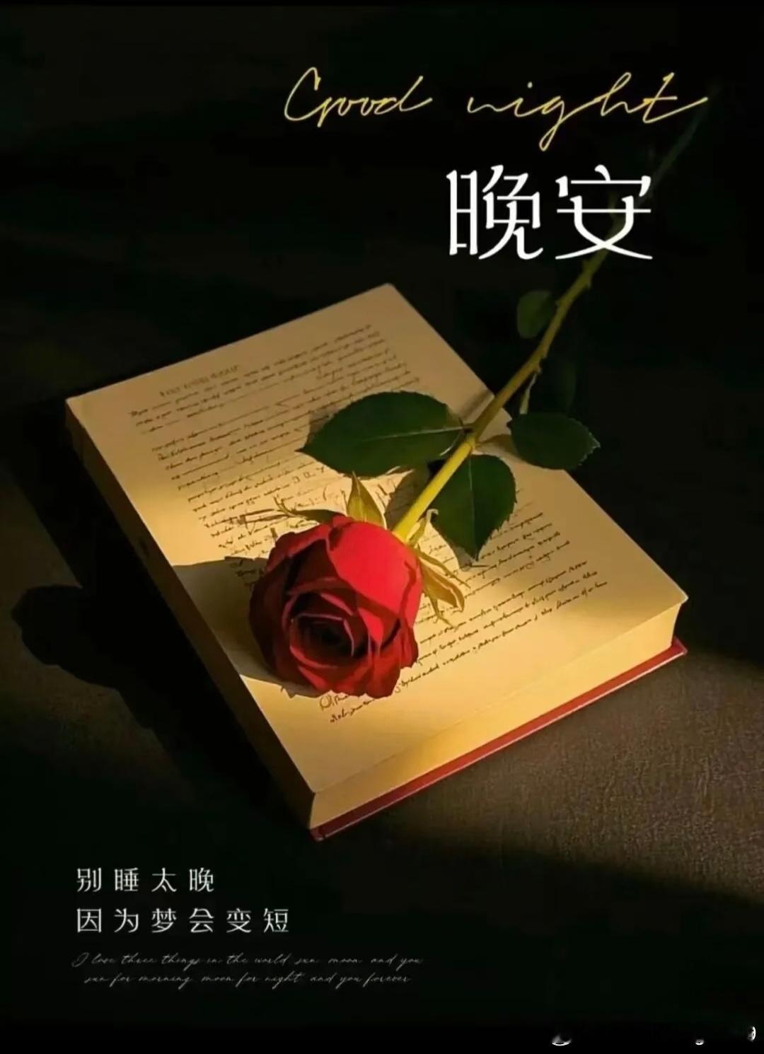 好夢！🍀 ​​​
