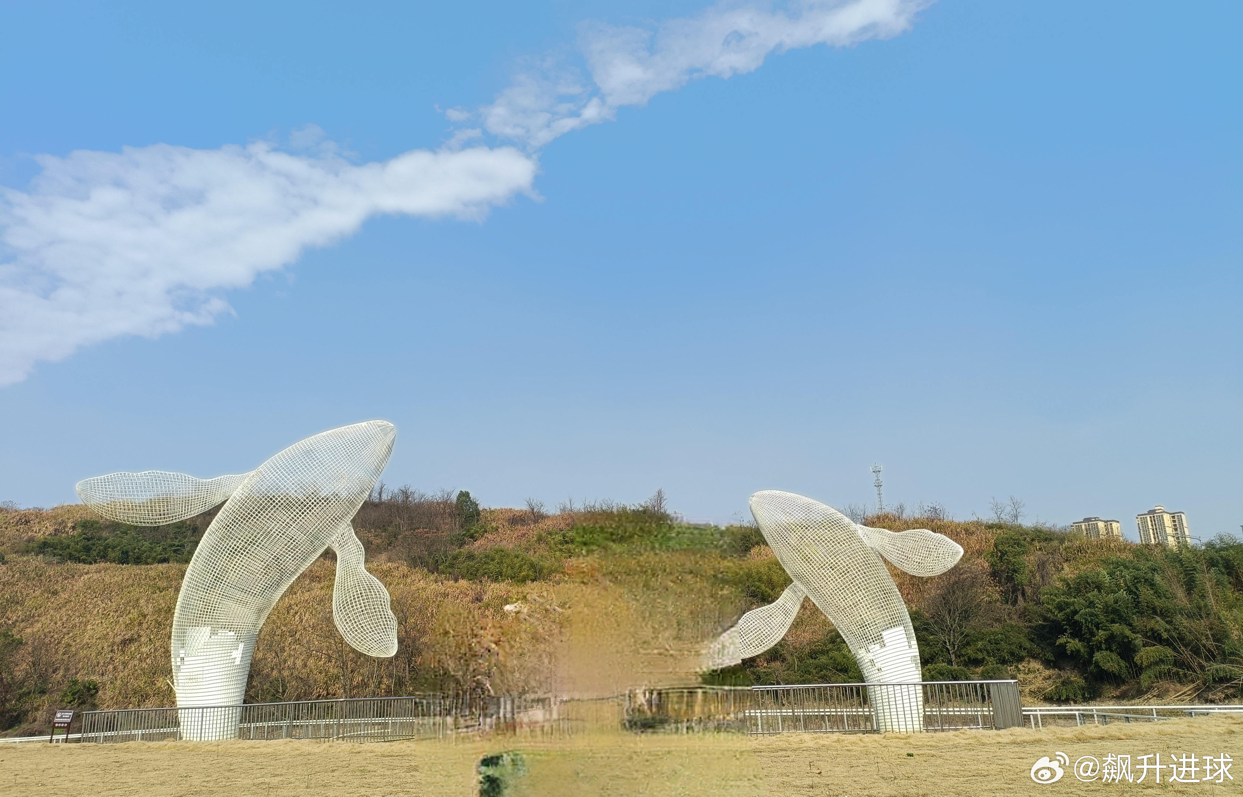 奶茶一杯，快乐起飞，要能续杯，快乐加倍，加油  足球第一课 今日看法分享，仅供参