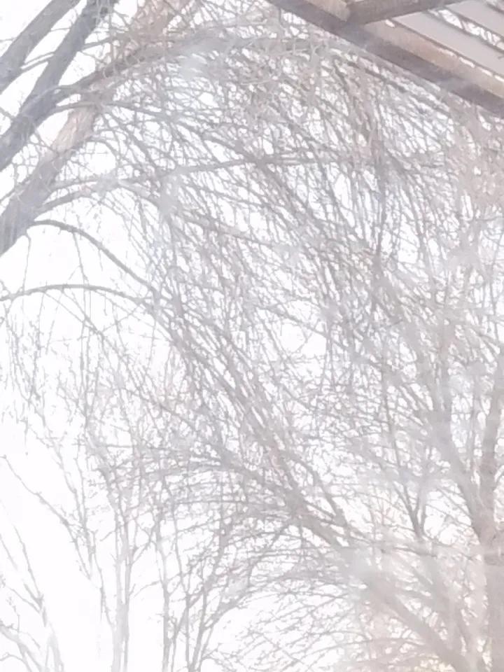 又是一年的值班中，每年几乎都是初四值班！就是一个人值班24小时！