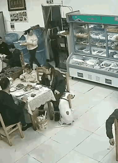 领着毛孩子到饭店来就餐，这是非常不文明的事情，这样的狗主人，非常令人讨厌，养狗的