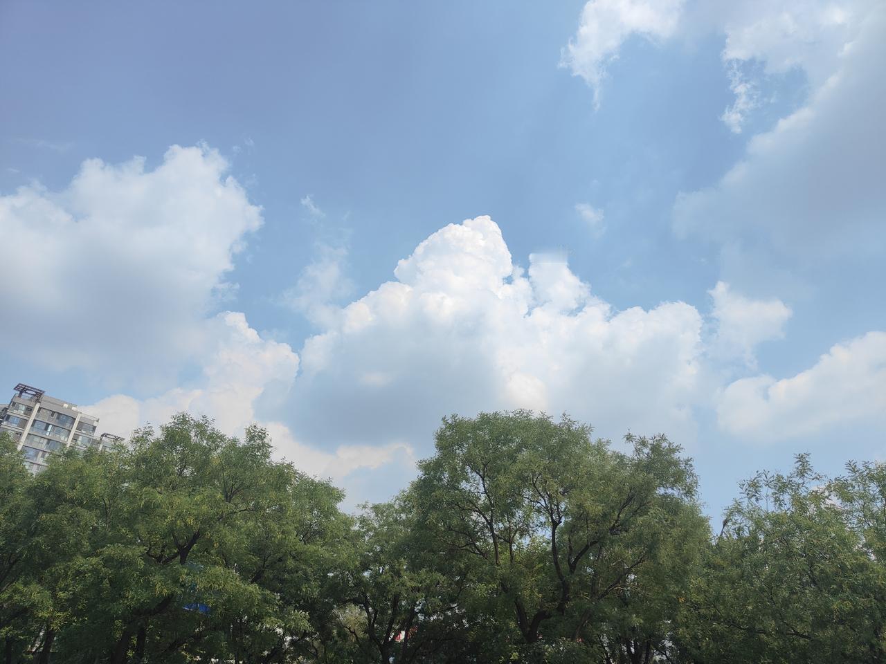 女人狠起来男人都害怕，但是这份“狠劲”用在公共场合的无理争执上，换来的只会是两败