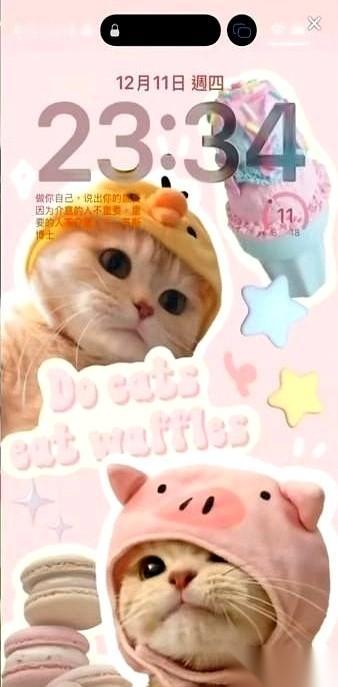 就那一下，手机投屏，屏幕亮了。
两只小猫，旁边一行小字，我一下就愣住了。
那行字