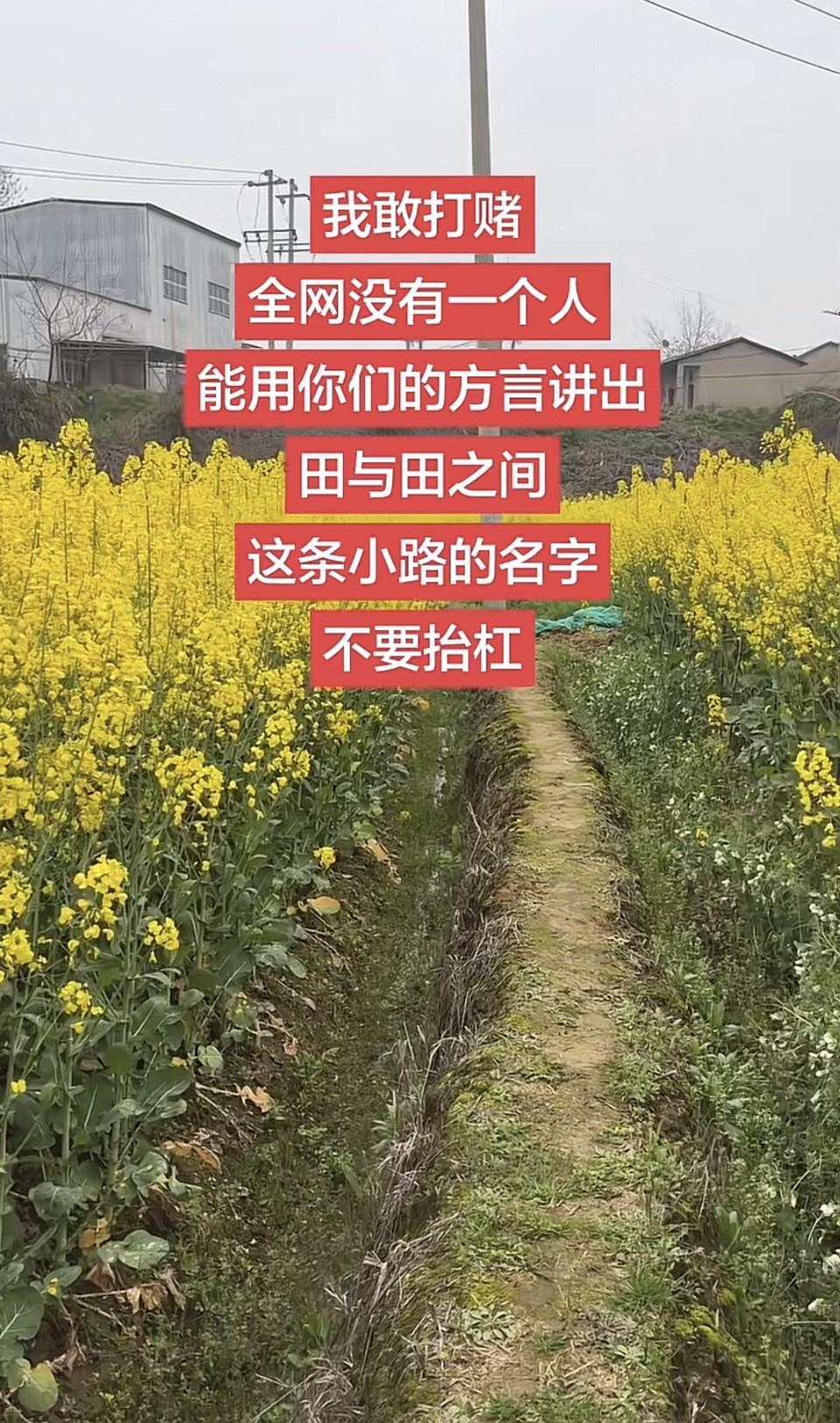 赌一个！
全网没人能用方言说出田与田之间小路的名字，不抬杠哈～