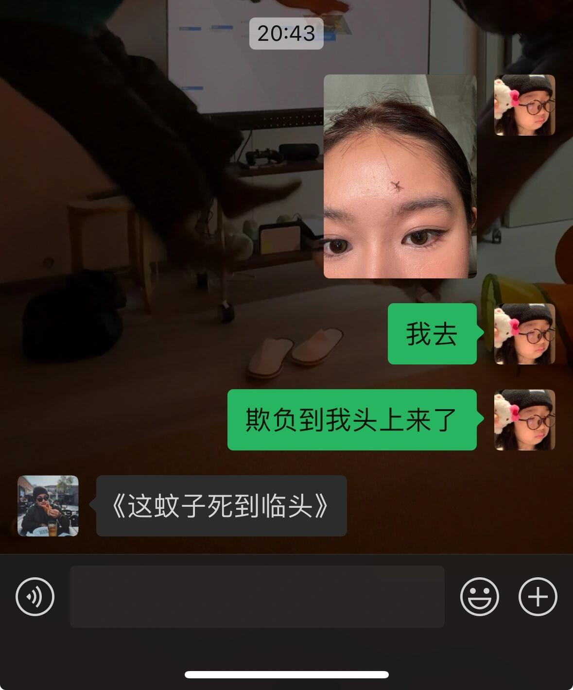 蚊子怎么敢停人额头上的 