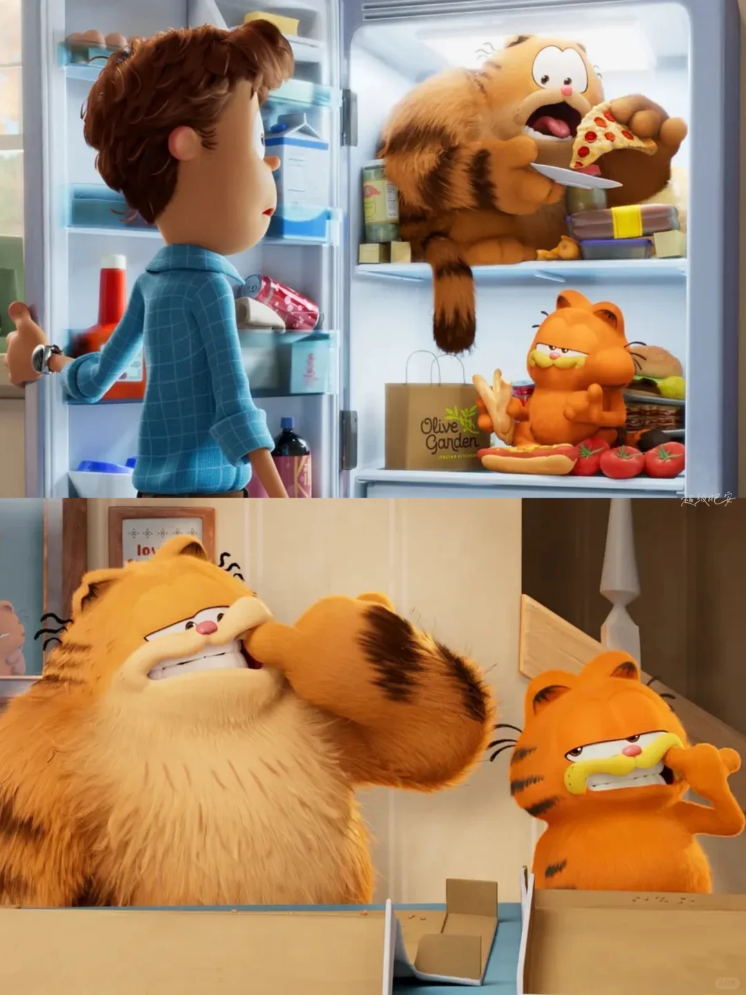 急‼️怎样才能让我妈六一带我去看加菲猫❓