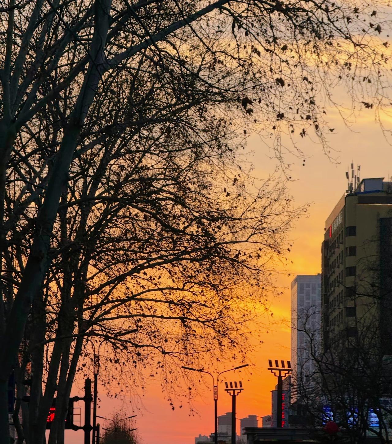 刘震云：）
不要过于窥探你的伴侣，有的婚姻只是身体陪伴，而彼此的灵魂,从未匹配。