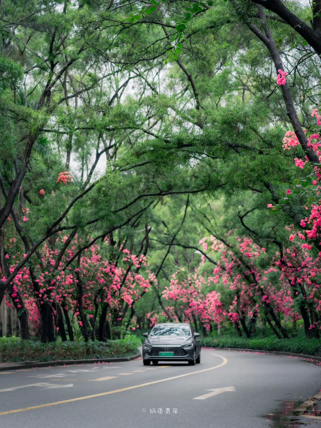 深圳香山中街|雨天是最好的滤镜🎨