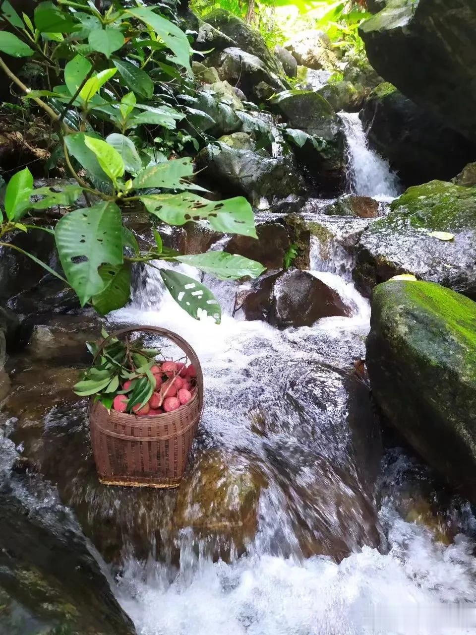 刚刚，广州规划打造重点5个世界级商圈、2个具有世界影响力的岭南特色商圈、4个枢纽