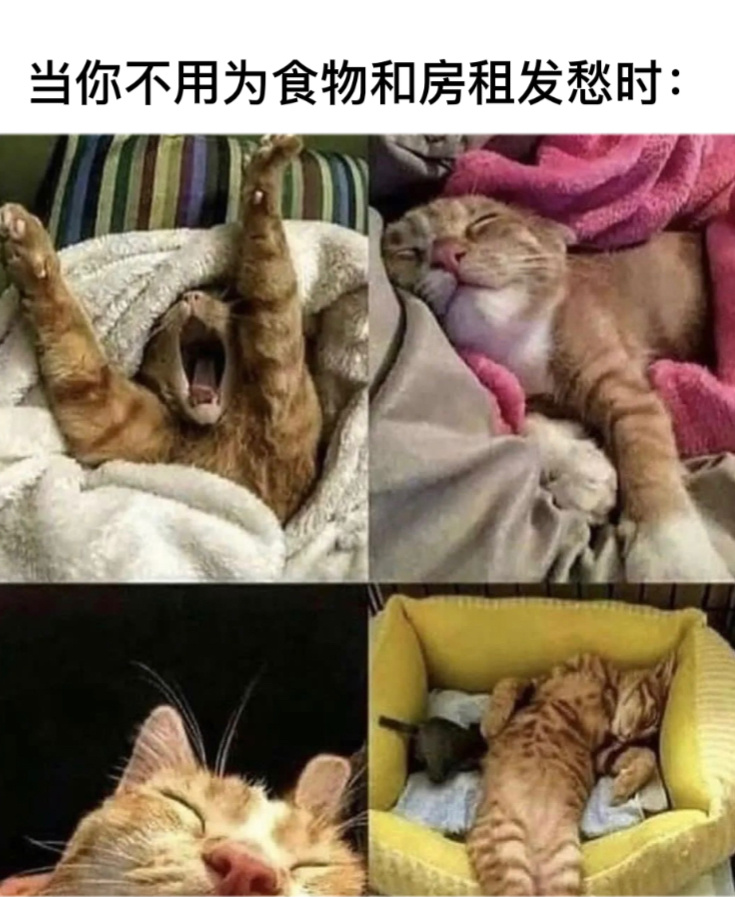 开摆#今日memes# //#新年快乐漫游指南# ​​​