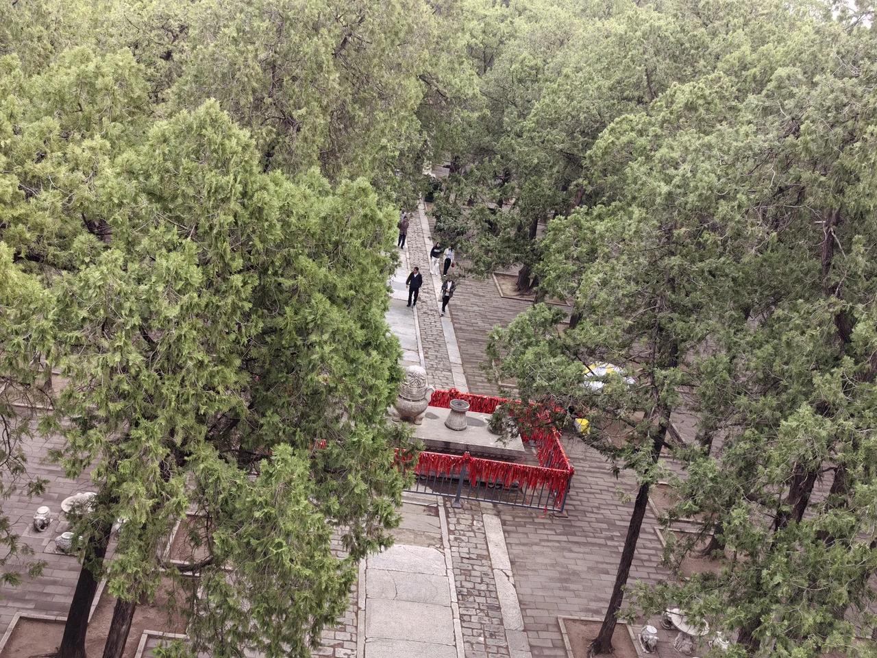 随手拍下的风景照