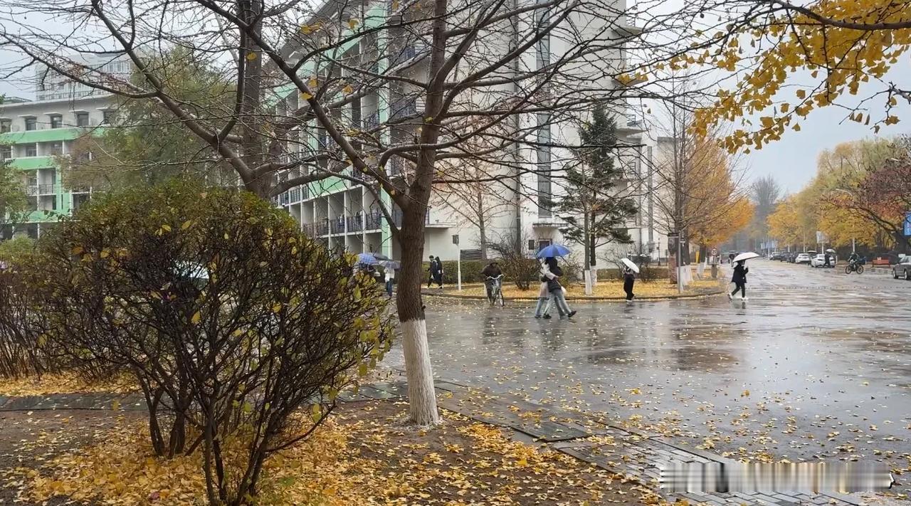深秋落雨

深秋的雨，淅淅沥沥
打湿了时光的记忆
落叶随雨飘洒，如诗如画

街头