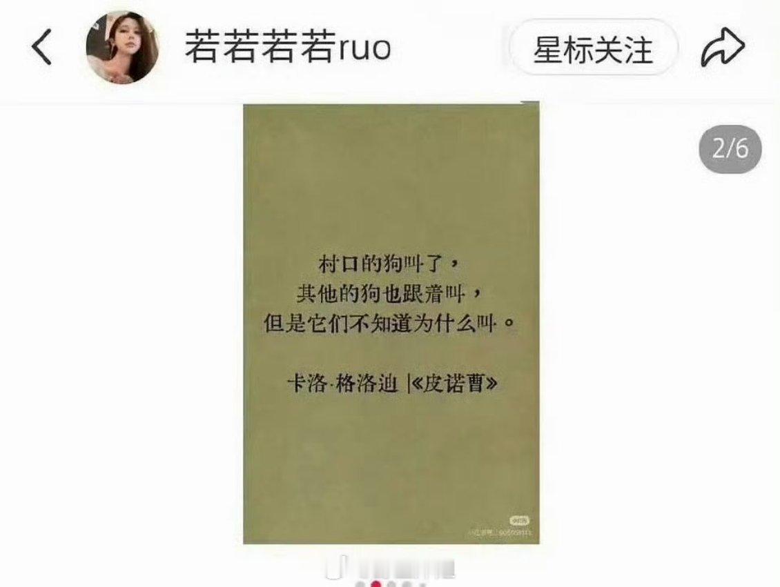 若若在内涵谁啊？她说村口的狗叫了，其他的狗也跟着叫，但是它们不知道为什么叫 
