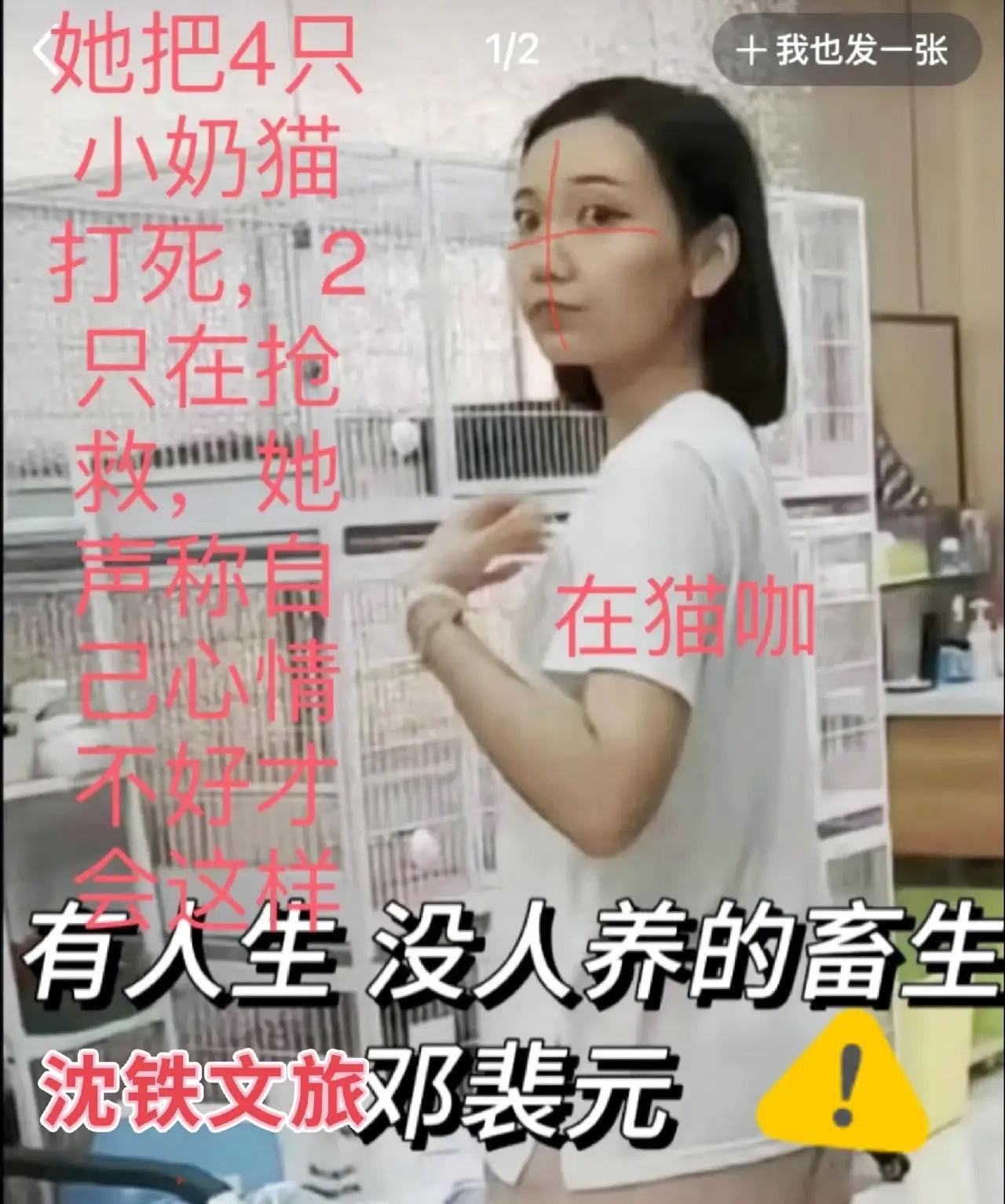 怎么对那么可爱的小猫能下得了毒手？太残忍了，真正女魔头，心现扭曲的变态狂[发怒]