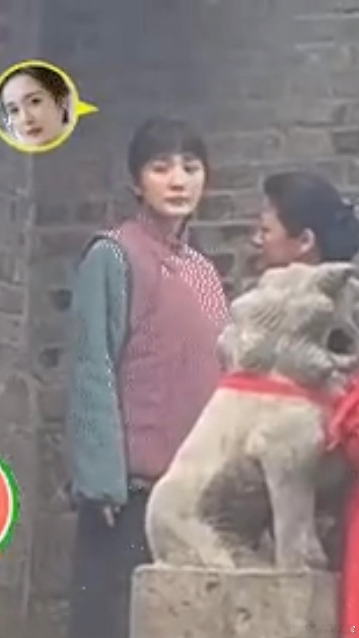 杨幂真的有安安静静在拍农村剧，比一直沉迷古偶看起来更有机会提名白玉兰视后 ​​​