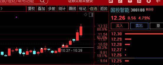 网络安全龙头公司:   $国投智能 sz300188$ 推出“天擎”公共安全大模