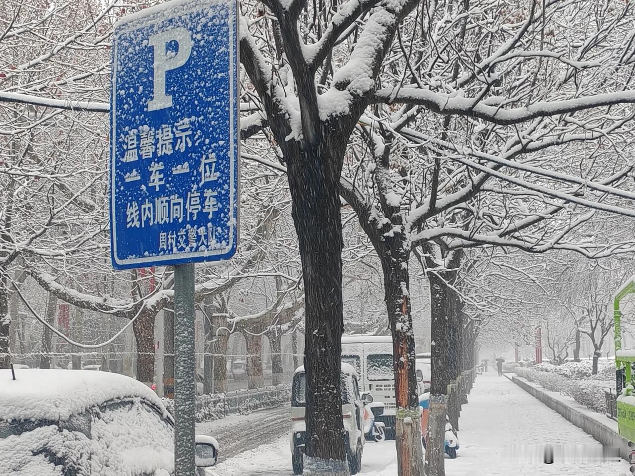 晒一张手机中最美的雪景照“车停雪不停”。