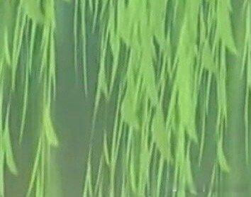 每日一善 | 阳光信用 努力的意义，不在于让你一定取得多大的成就，只是让你在平凡