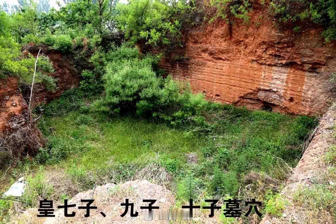 276年前的今天即乾隆十二年十二月二十九日，乾隆帝的皇七子永琮夭折。     永