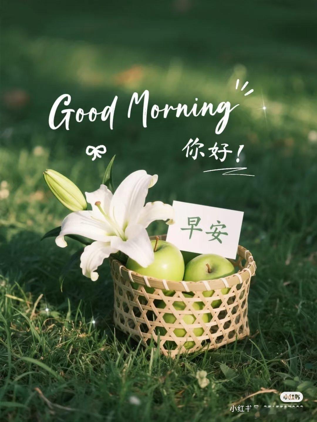 早安[超话]早安 早安𝐠𝐨𝐨𝐝 𝐦𝐨𝐫𝐧𝐢𝐧𝐠 ᵕ̈ ♡?