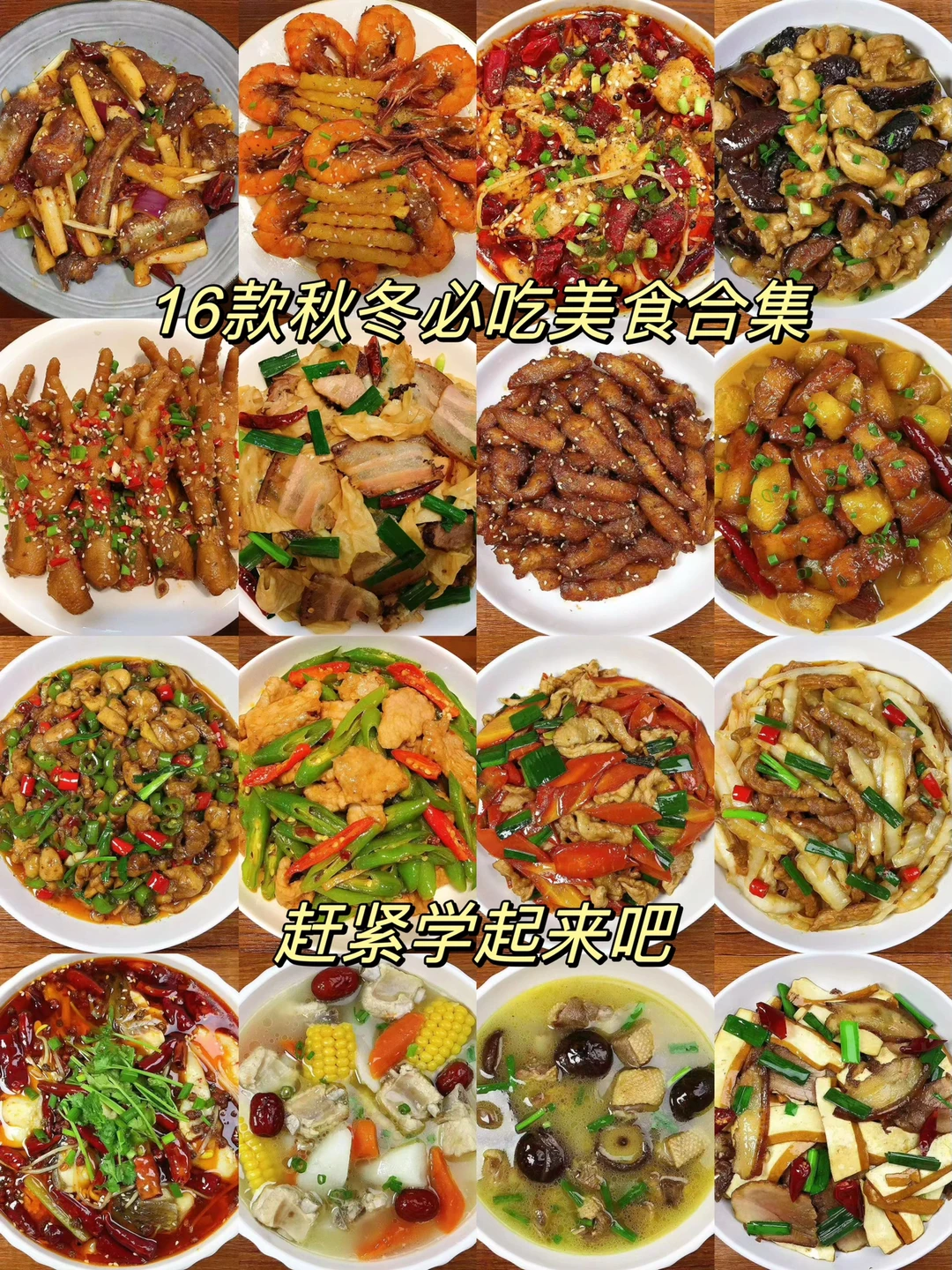 今天分享16款适合秋冬吃的肉菜合集，每款都超级好吃！喜欢的朋友们赶紧做起来吧！