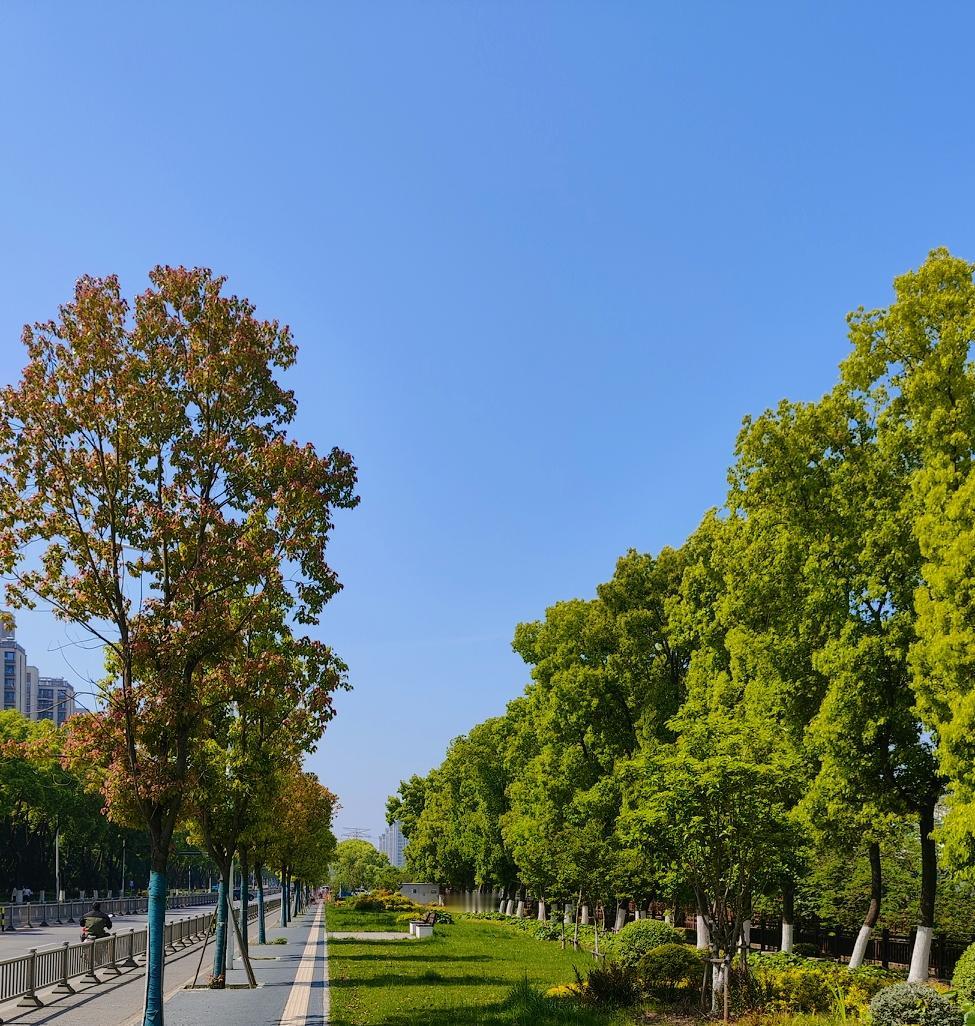 37岁我才真正懂了：正确犯错，是普通
人赚大钱的最快路径
现在的新趋势里，没人有